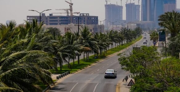 沙特四大经济特区：政府支持和战略位置的完美结合